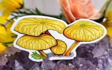 Load image into Gallery viewer, Mushroom Drawing Vinyl Art Sticker