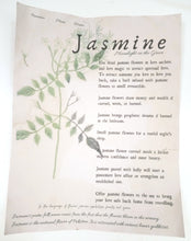 Load image into Gallery viewer, Magical Herbalism Prints