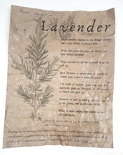 Load image into Gallery viewer, Magical Herbalism Prints