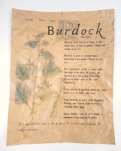 Load image into Gallery viewer, Magical Herbalism Prints