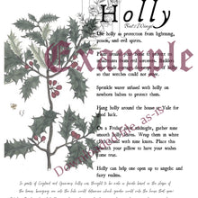 Load image into Gallery viewer, DIGITAL DOWNLOAD - Magical Herbalism Book of Shadows Kitchen Witch Decor Pages - 10 magical plants folklore - Apple, Bay, Basil and more