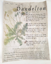 Load image into Gallery viewer, Magical Herbalism Prints
