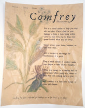 Load image into Gallery viewer, Magical Herbalism Prints
