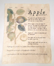 Load image into Gallery viewer, Magical Herbalism Prints

