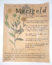 Load image into Gallery viewer, Magical Herbalism Prints
